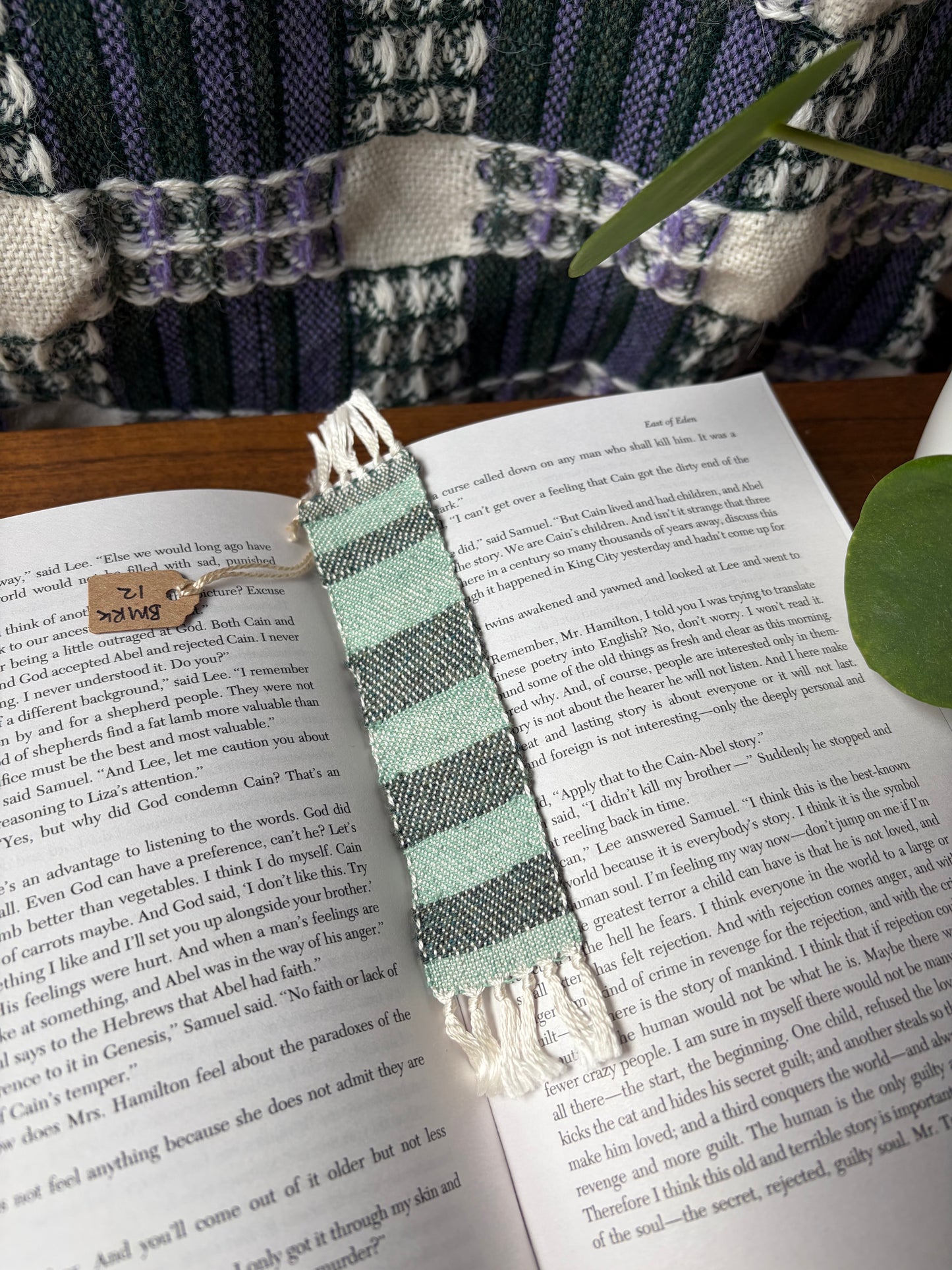 Bookmark (BMRK12)